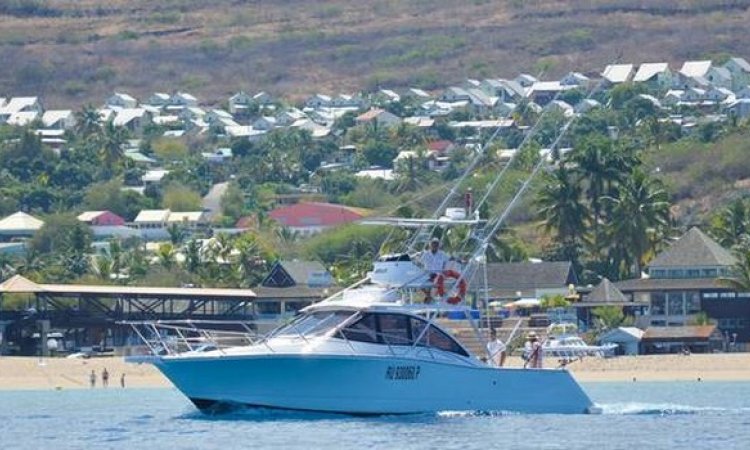 Entreprise de pêche au gros Saint-Gilles