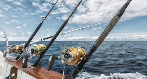 Sortie pêche au gros